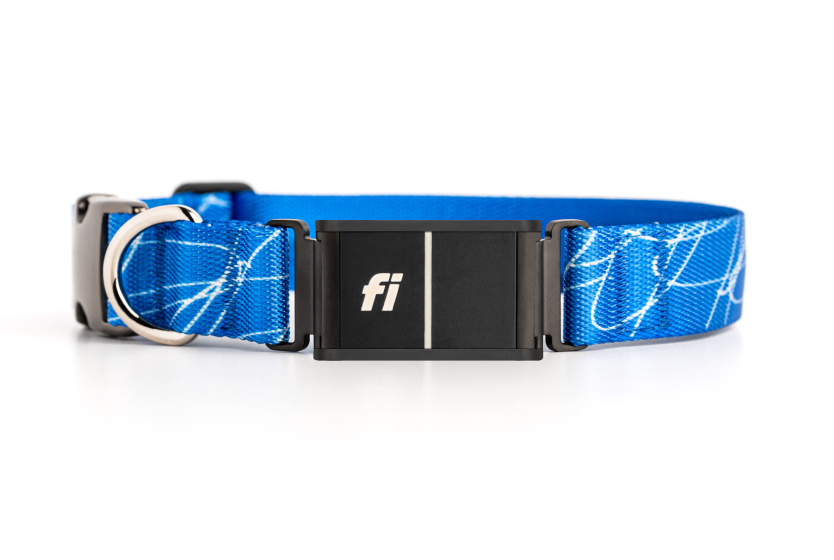 A blue_scribble collar