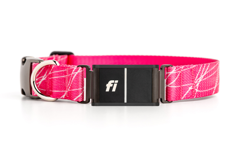 A pink_scribble collar