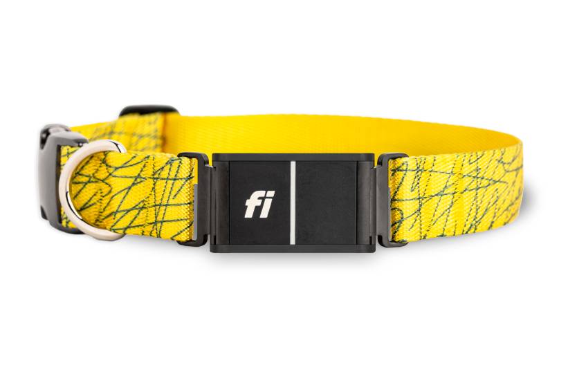 A yellow_scribble collar