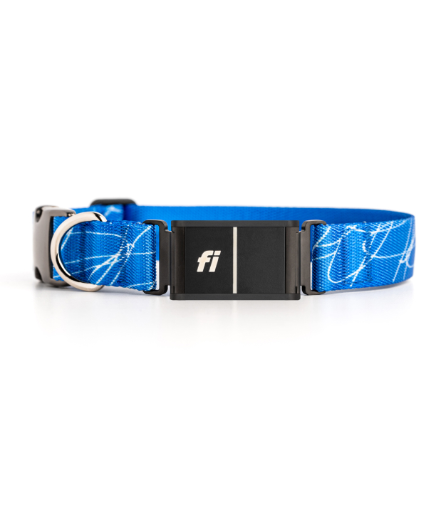 A blue_scribble collar