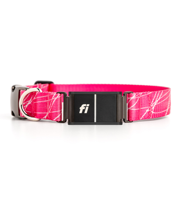 A pink_scribble collar