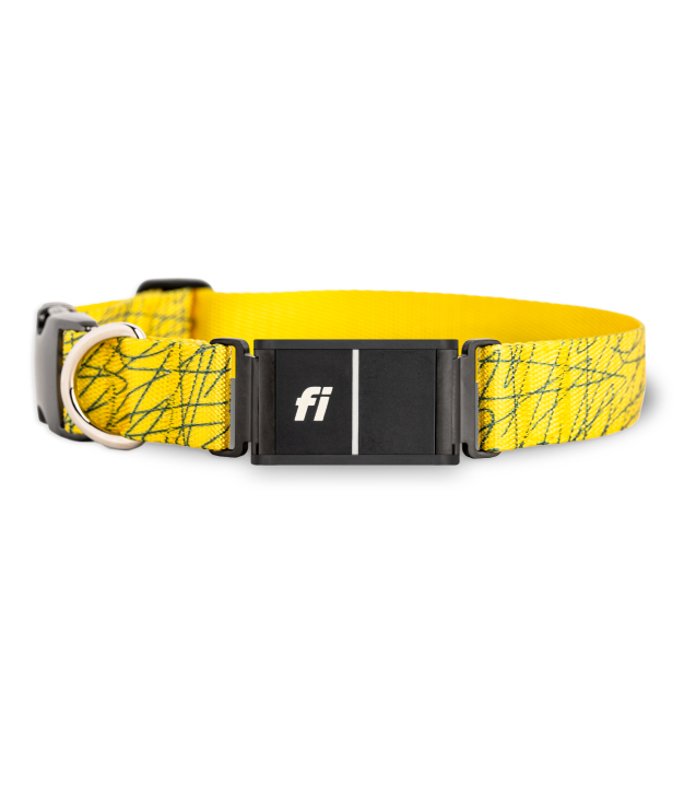 A yellow_scribble collar