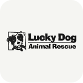 A dog rescue logo